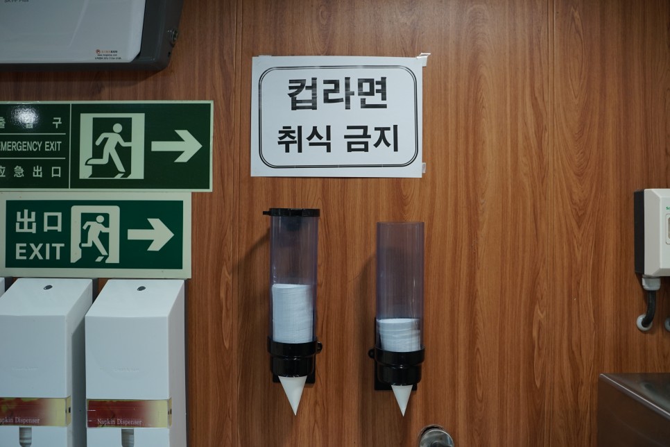 울릉크루즈