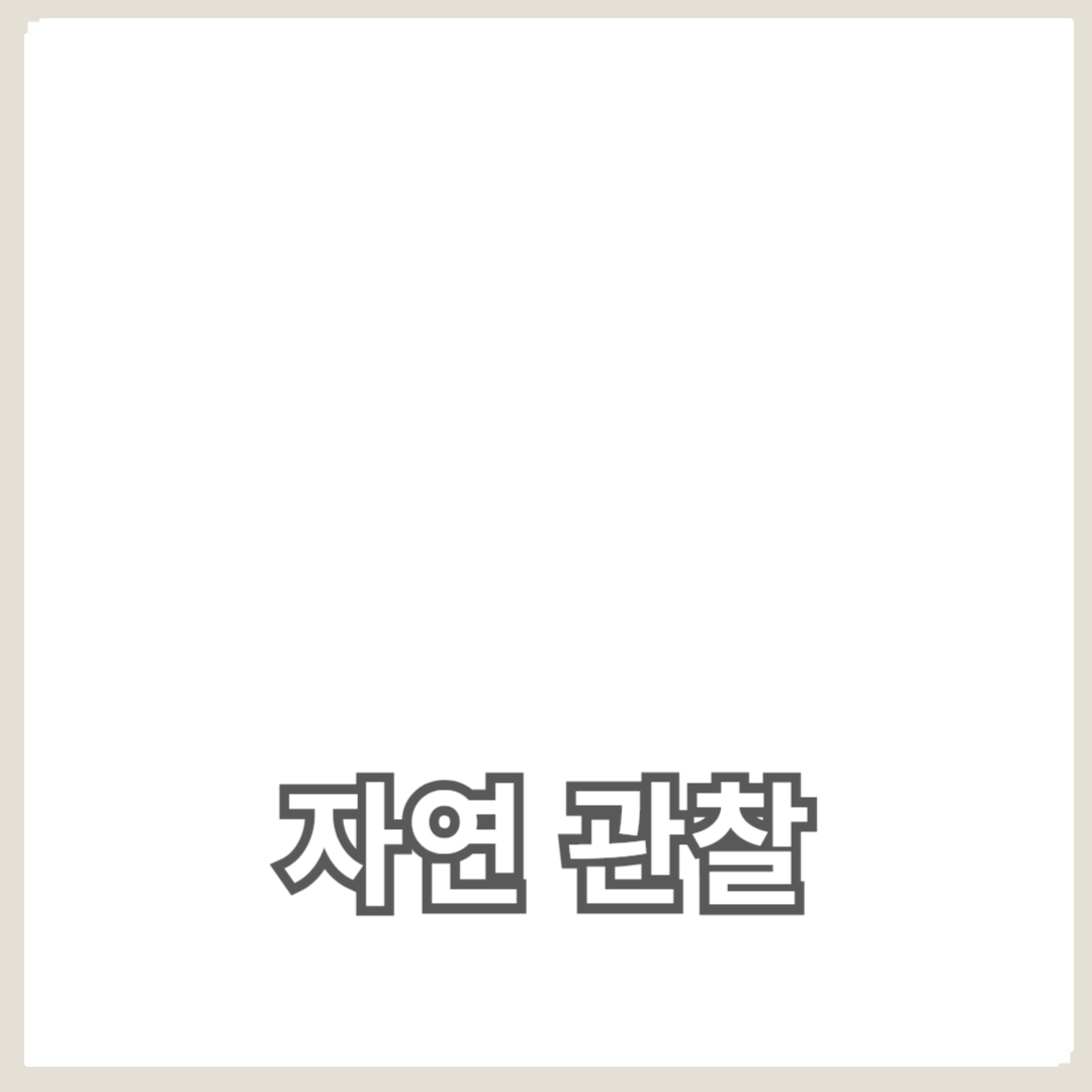 계절 변화와 함께하는 자연 관찰의 즐거움