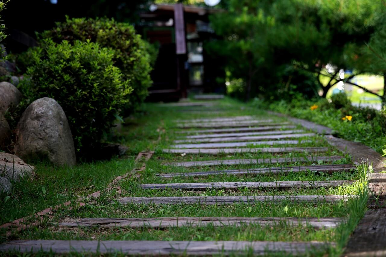 도시 속 조용한 산책 코스 경의선 숲길 끝자락 – 기찻길이 남긴 기억의 자취