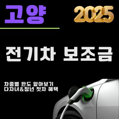 썸네일_2025 고양 전기차 보조금 개편안 총정리 (대상 차종, 차량별 한도, 청년 첫차 혜택)