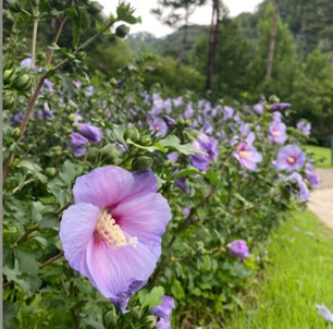 화담채 예약 방법