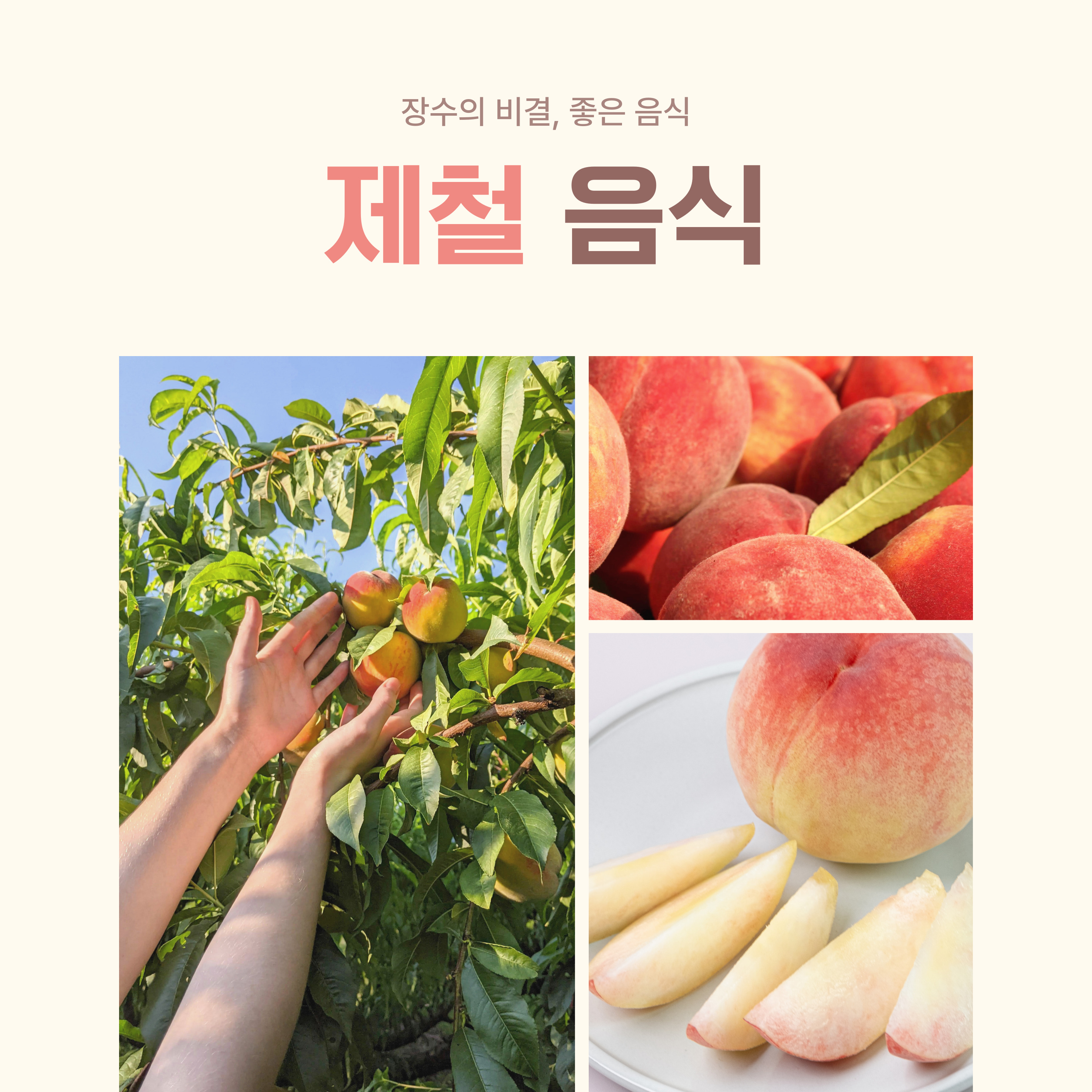 장수의 비결 제철 식품 섭취