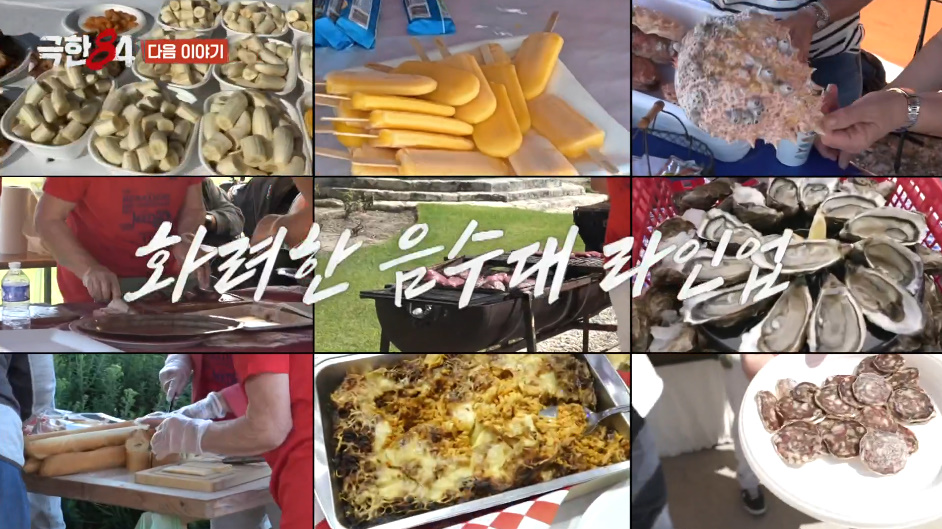 경기의 취지가 궁금한 프랑스 메독 마라톤.jpg | 인스티즈