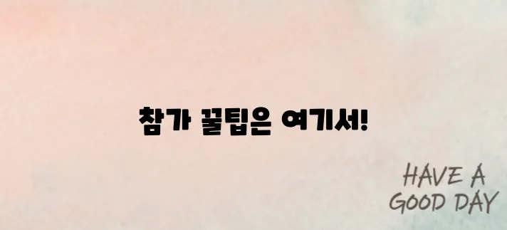 2025 공주백제마라톤 참가 꿀팁! 서울레이스 접수 일정 총정리