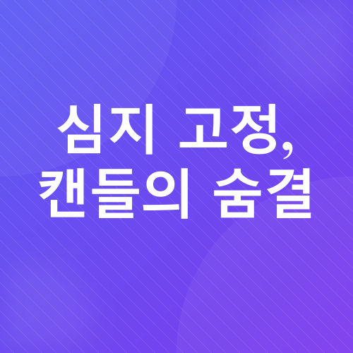 DIY 캔들 만들기_4