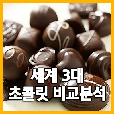세계 3대 프리미엄 초콜릿 브랜드 및 제품 비교 소개_3