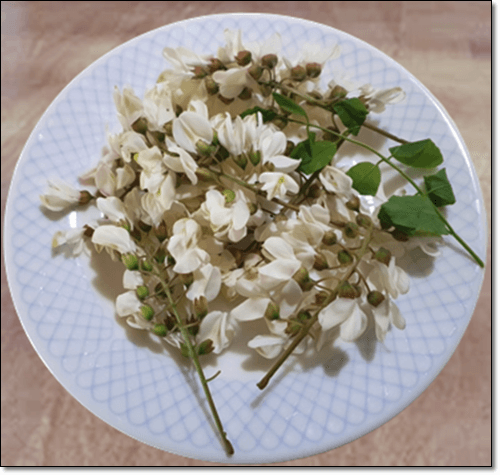 아카시아꽃 효능