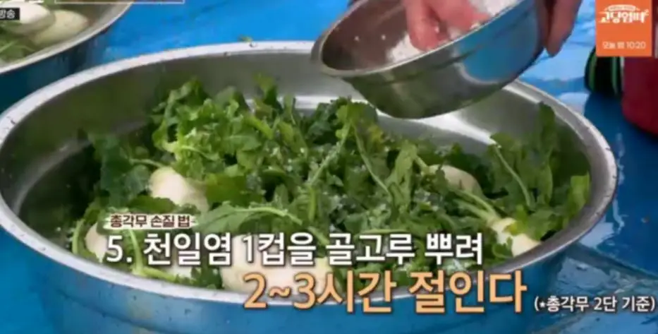 총각무 다듬고 절이기