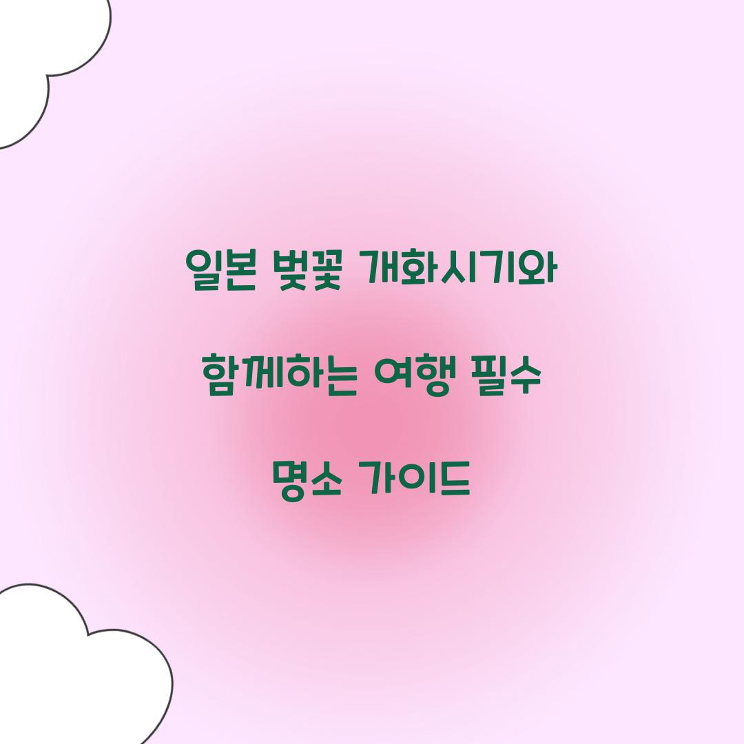 일본 벚꽃 개화시기