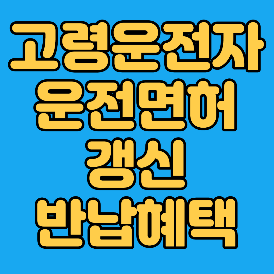 고령운전자 운전면허 갱신 반납