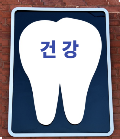 치아건강