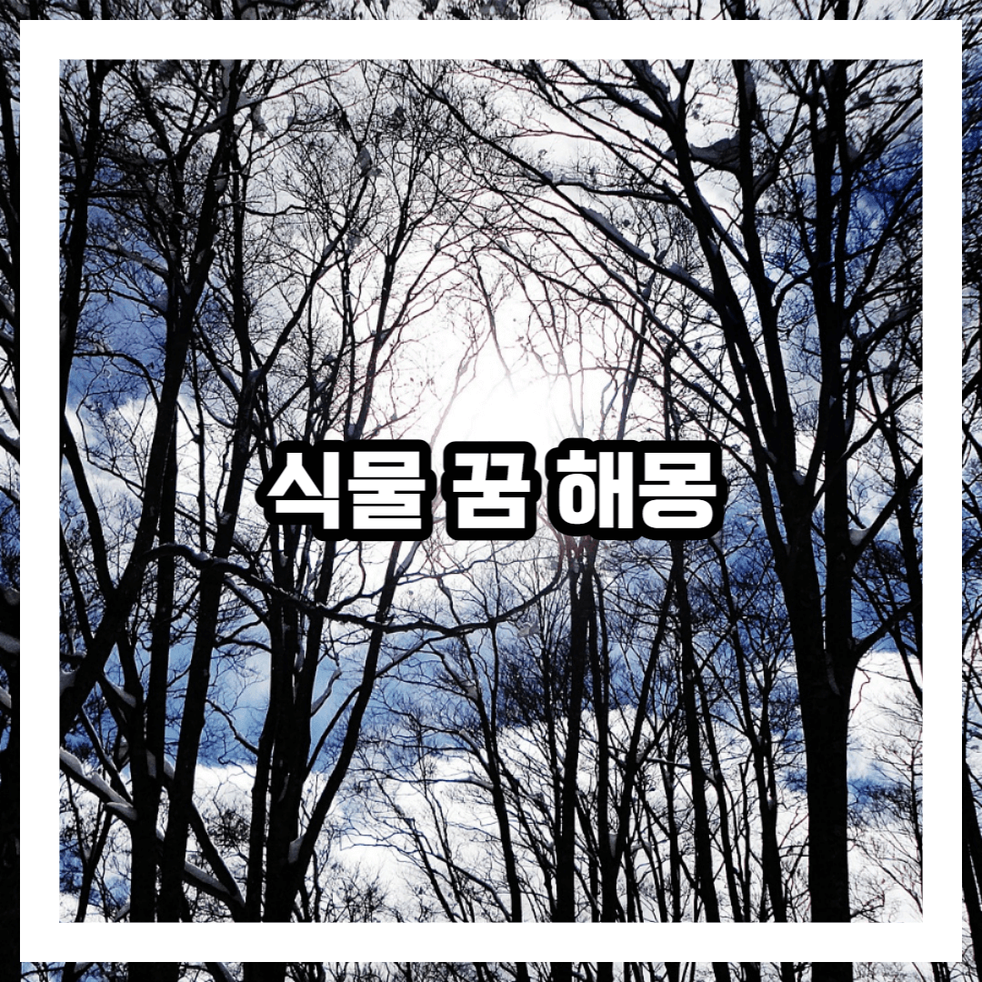 식물에 관한 꿈
