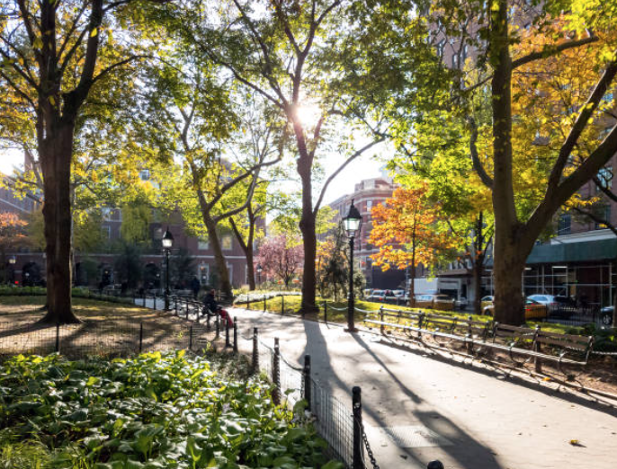 도시 속 숨겨진 힐링 스팟 &ndash; 유명 도심 속 조용한 공원과 골목