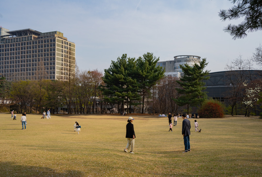 아주대학교 들판