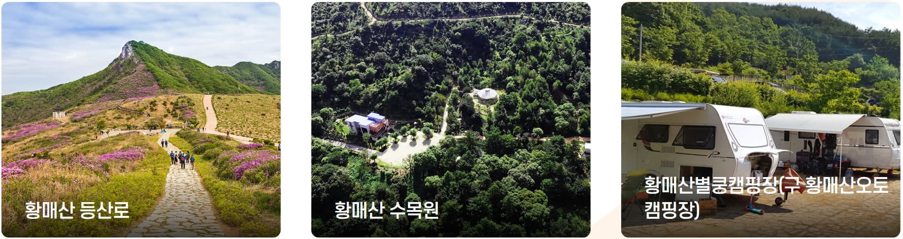 [경남 합천 여행]5월 지역 축제❘황매산 철쭉축제❘기간, 예약, 실시간 개화 현황