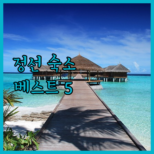 정선 여행 숙소 베스트 5 취향별 콘..