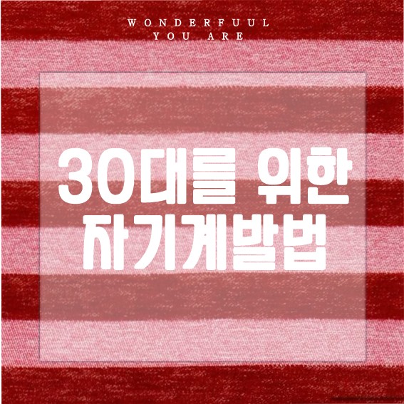 30대 직장인을 위한 자기계발 가이드: 공부, 이직, 취미까지