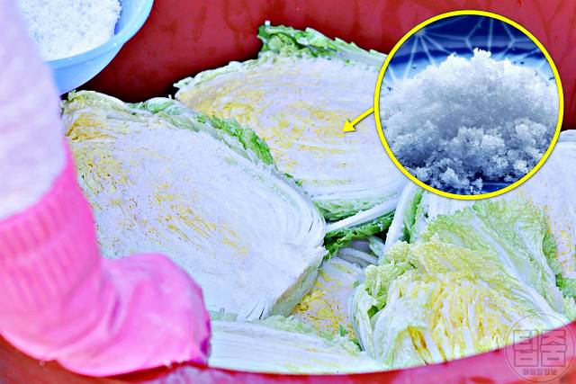 김치 물러지는 이유 소금 김치 무르지 않게 하는 법