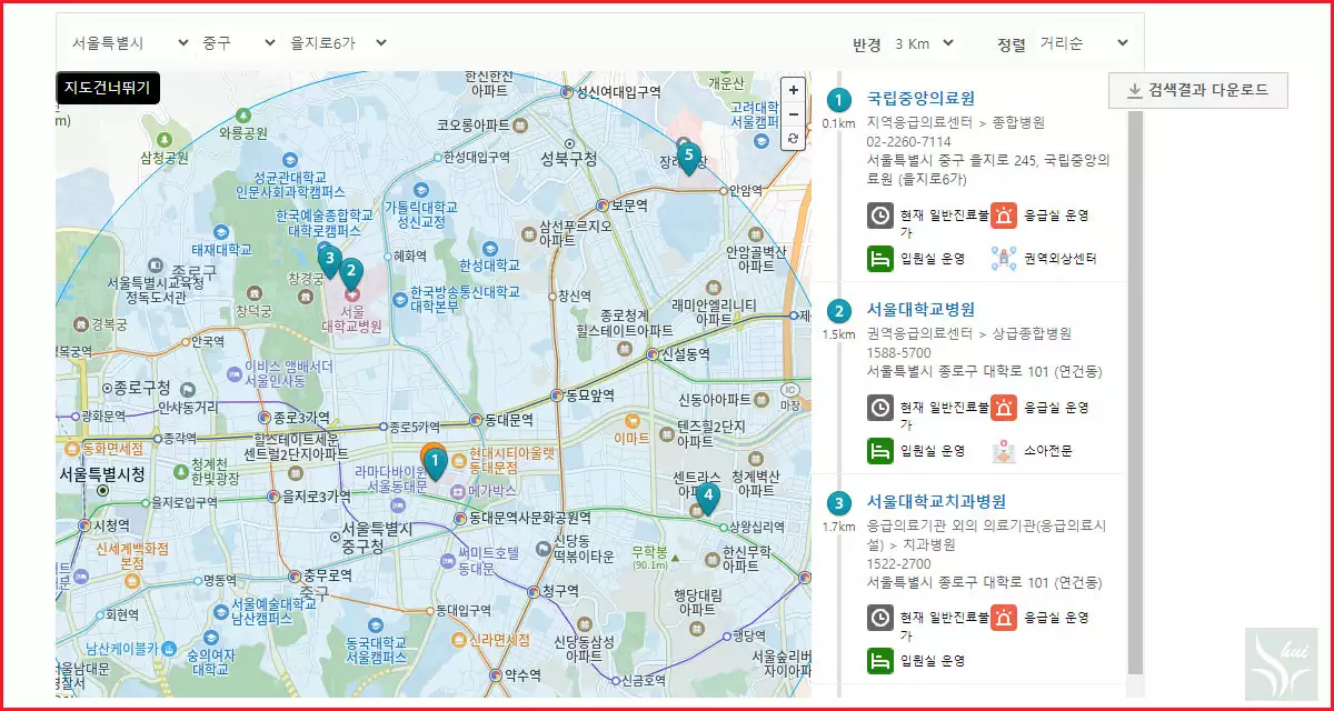 응급실 찾기 지도 검색 결과