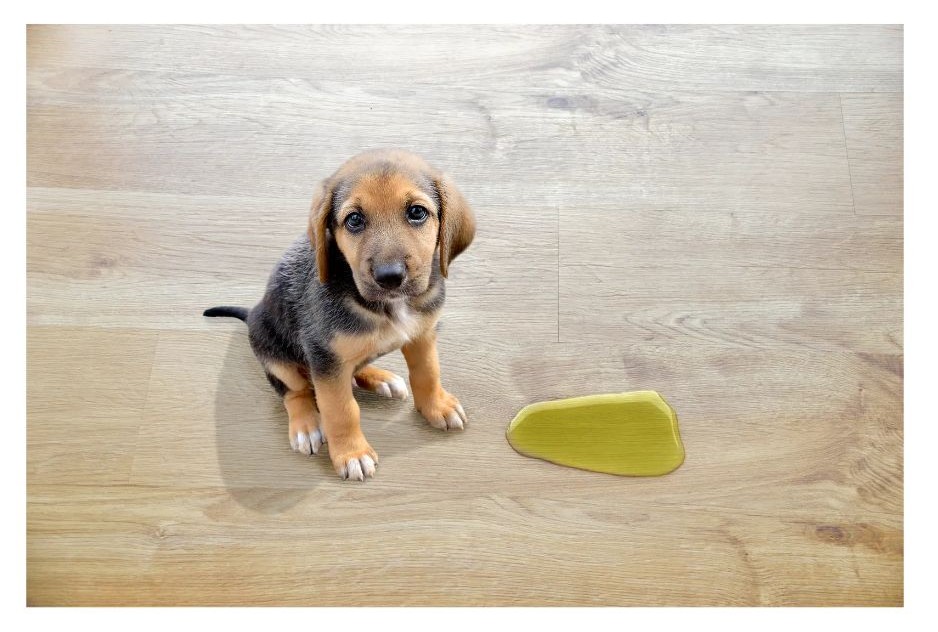 꿈에 오줌싸는꿈