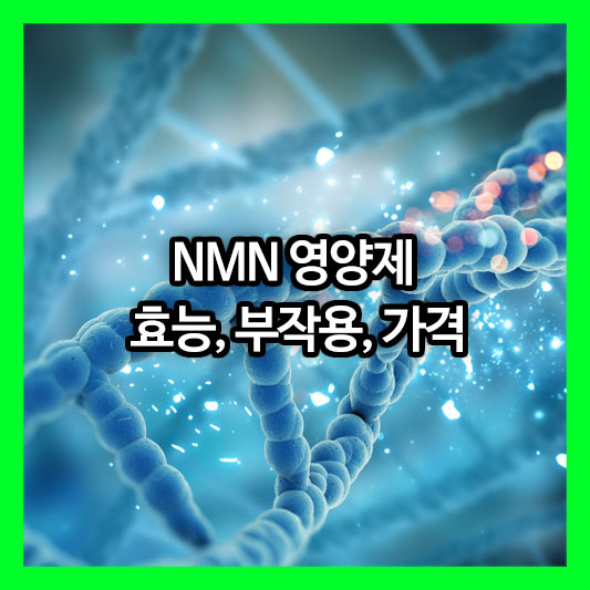 현대판 불로초? NMN 영양제 효능, 부작용, 가격까지!