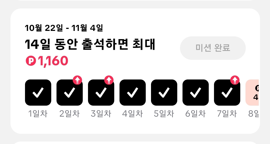 틱톡-라이트-출석-체크