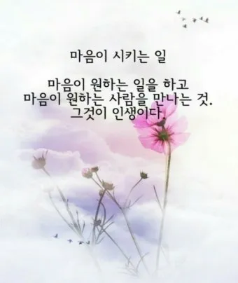 아침인사 이쁜글 다운로드_19
