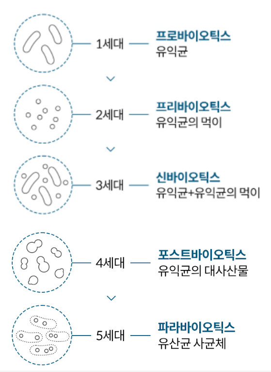 유산균 세대별 종류