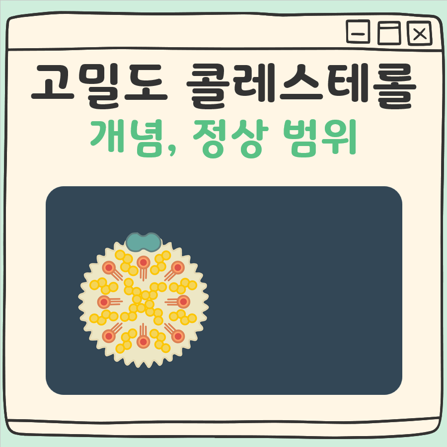 고밀도 콜레스테롤 이란 대표 이미지