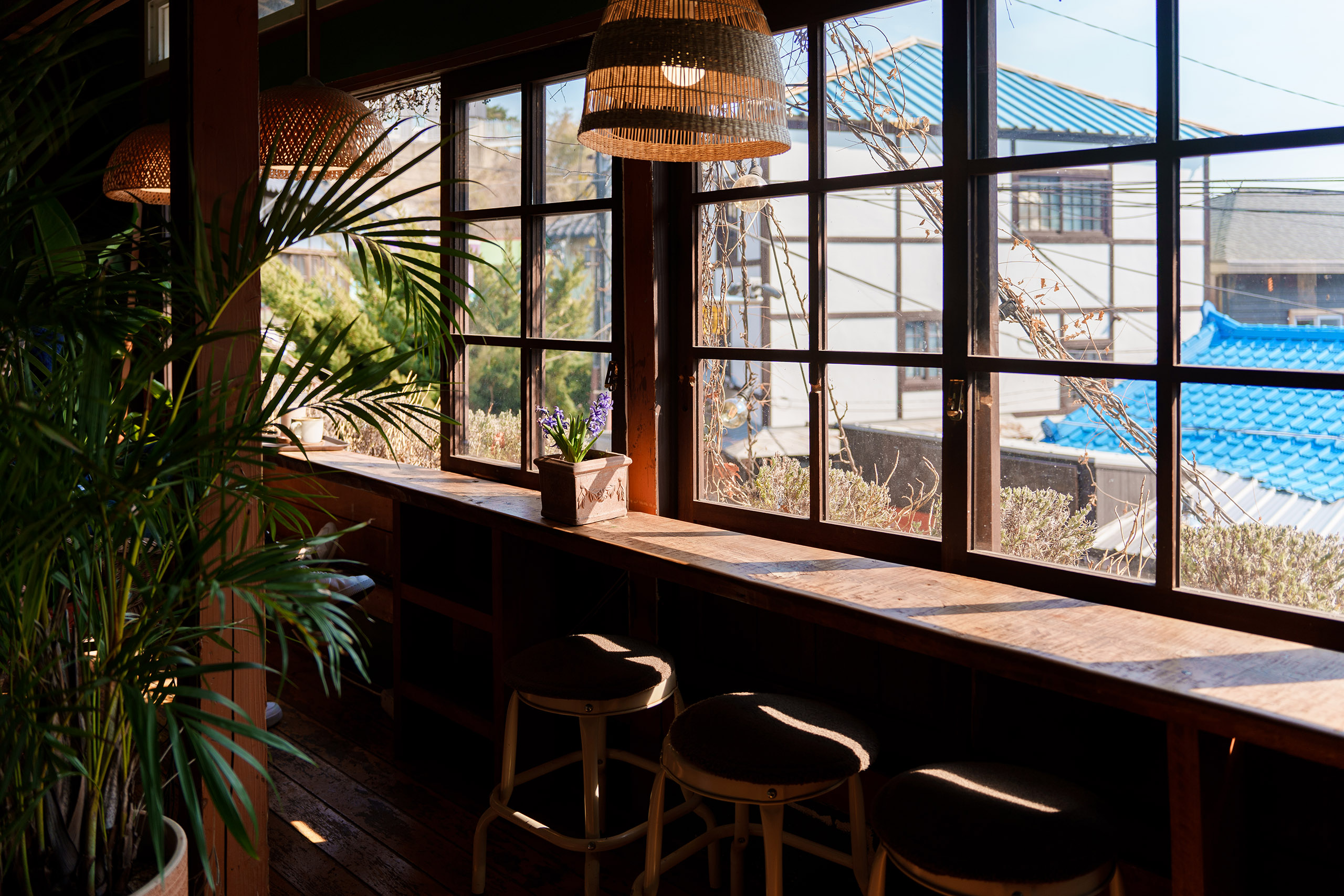 카멜리아 인 구룡포