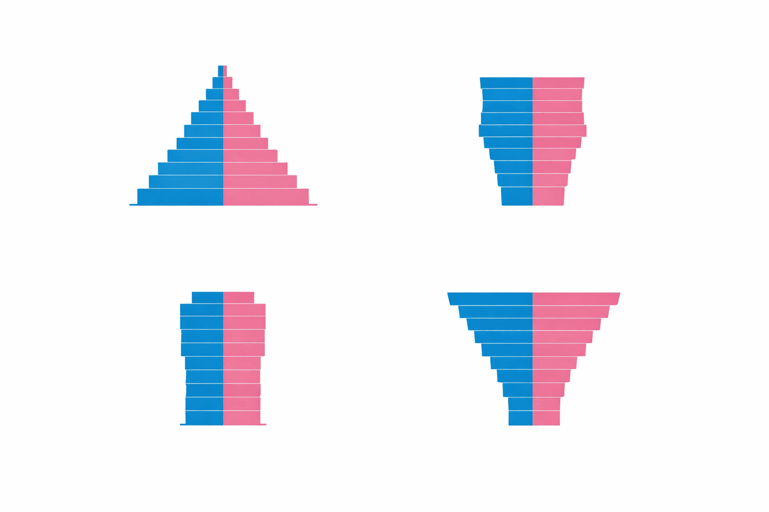 인구 구성 피라미드 유형