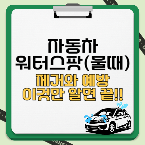 자동차 워터스팟 (물때) 제거와 예방 텍스트 썸네일