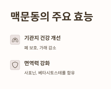 맥문동 효능