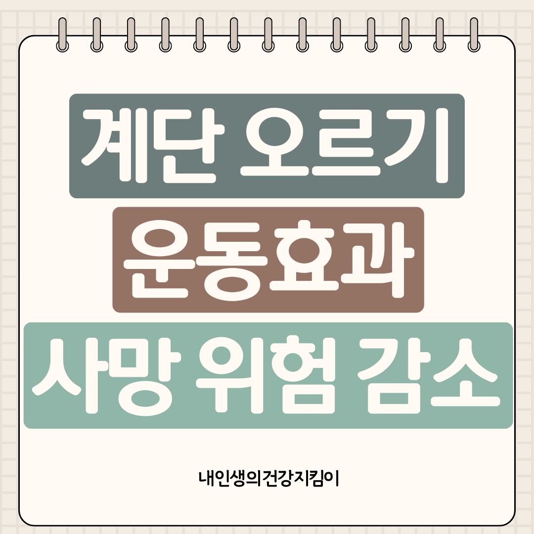 계단 오르기 운동효과 사망 위험 39% 감소, 매일 6층이면 충분합니다