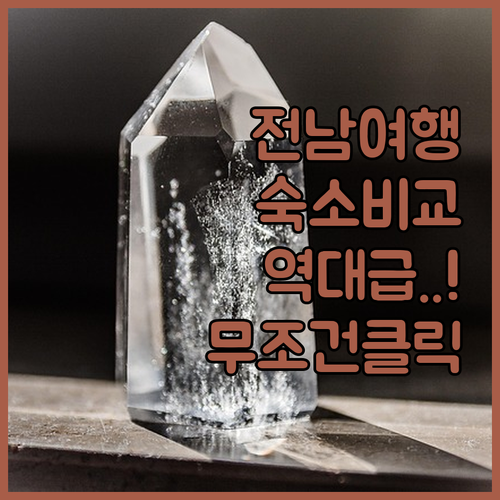 장흥 고흥 완도 여행객을 위한 맞춤형..