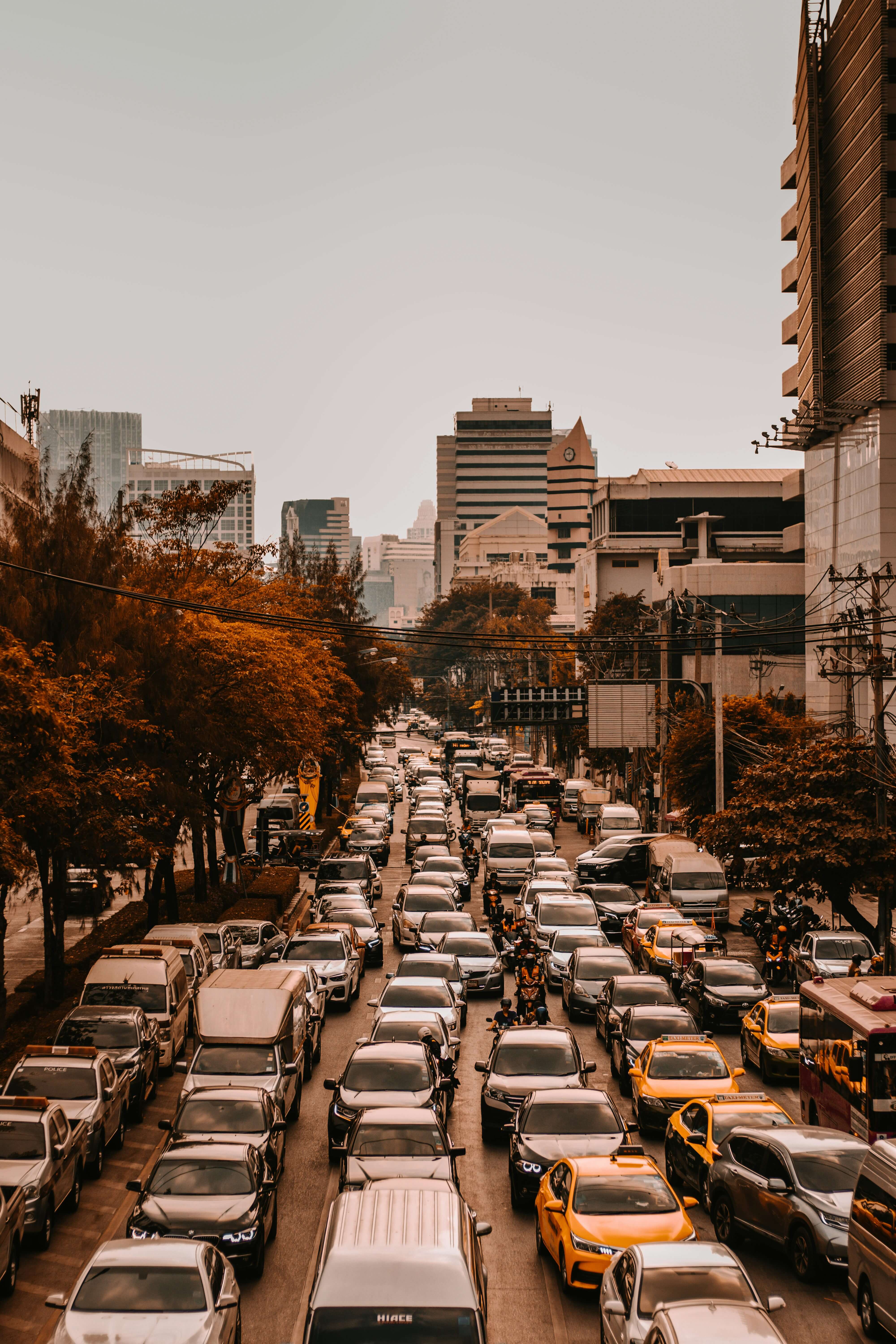 실시간 교통정보