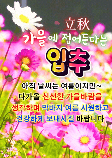 입추 인사말 이미지, 코스모스 이미지