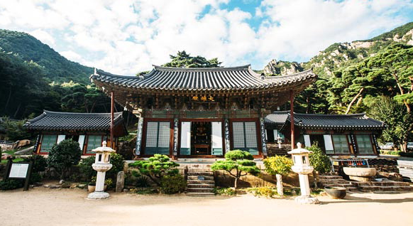 2026 창녕낙동강유채축제 일정 기간 프로그램 가볼만한곳 TOP 03