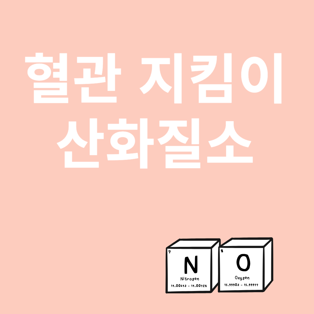 산화질소와 관련된 이미지