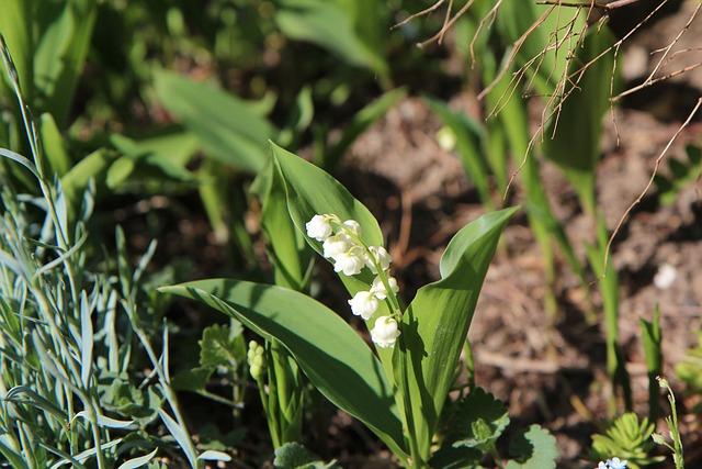 사리가 생기는 이유