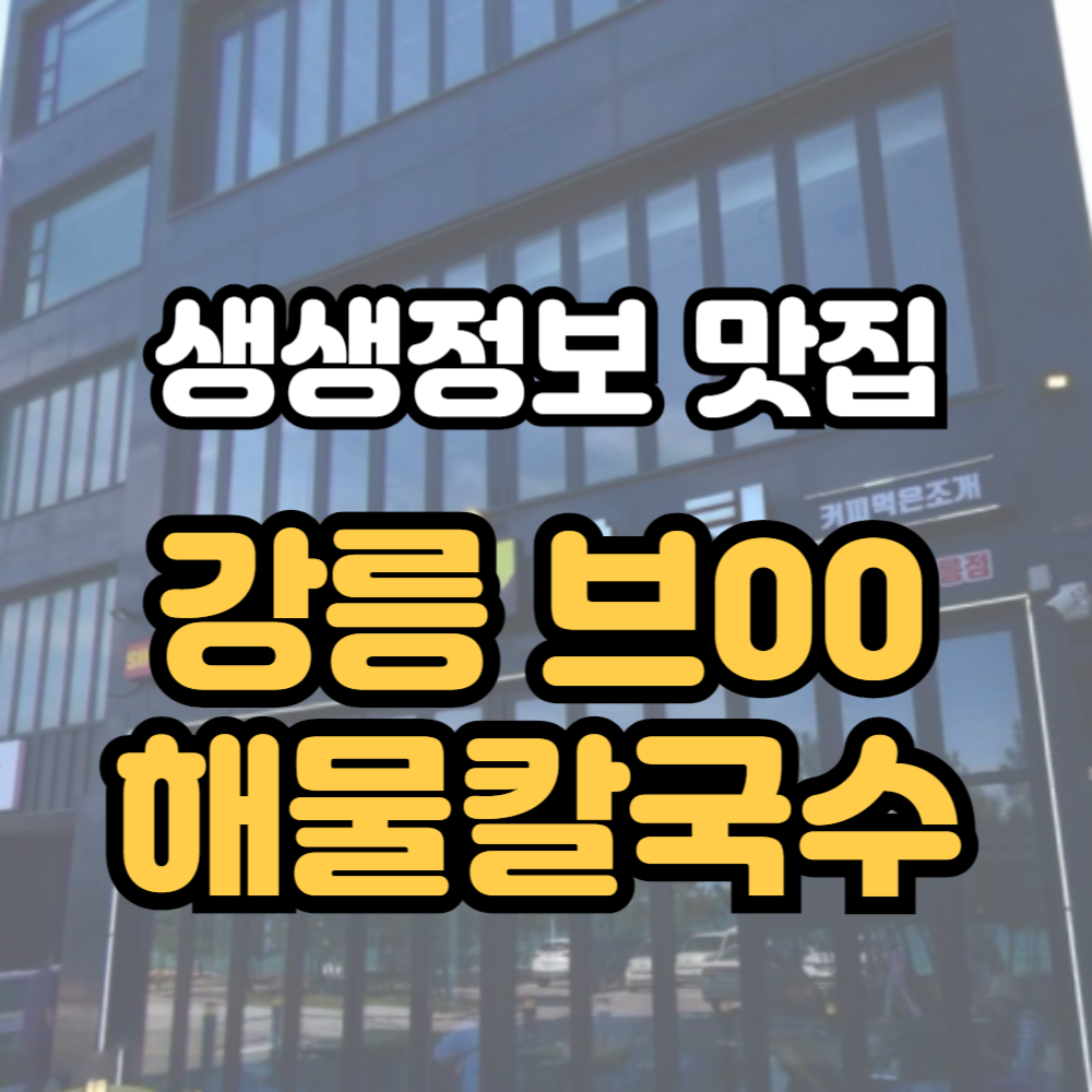 생생정보 70센티 강릉 해물칼국수 브라보