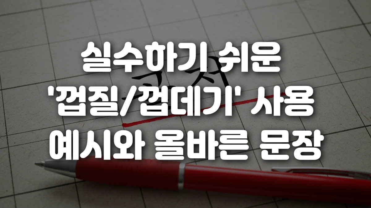 실수하기 쉬운 껍질 껍데기 사용 예시와 올바른 문장