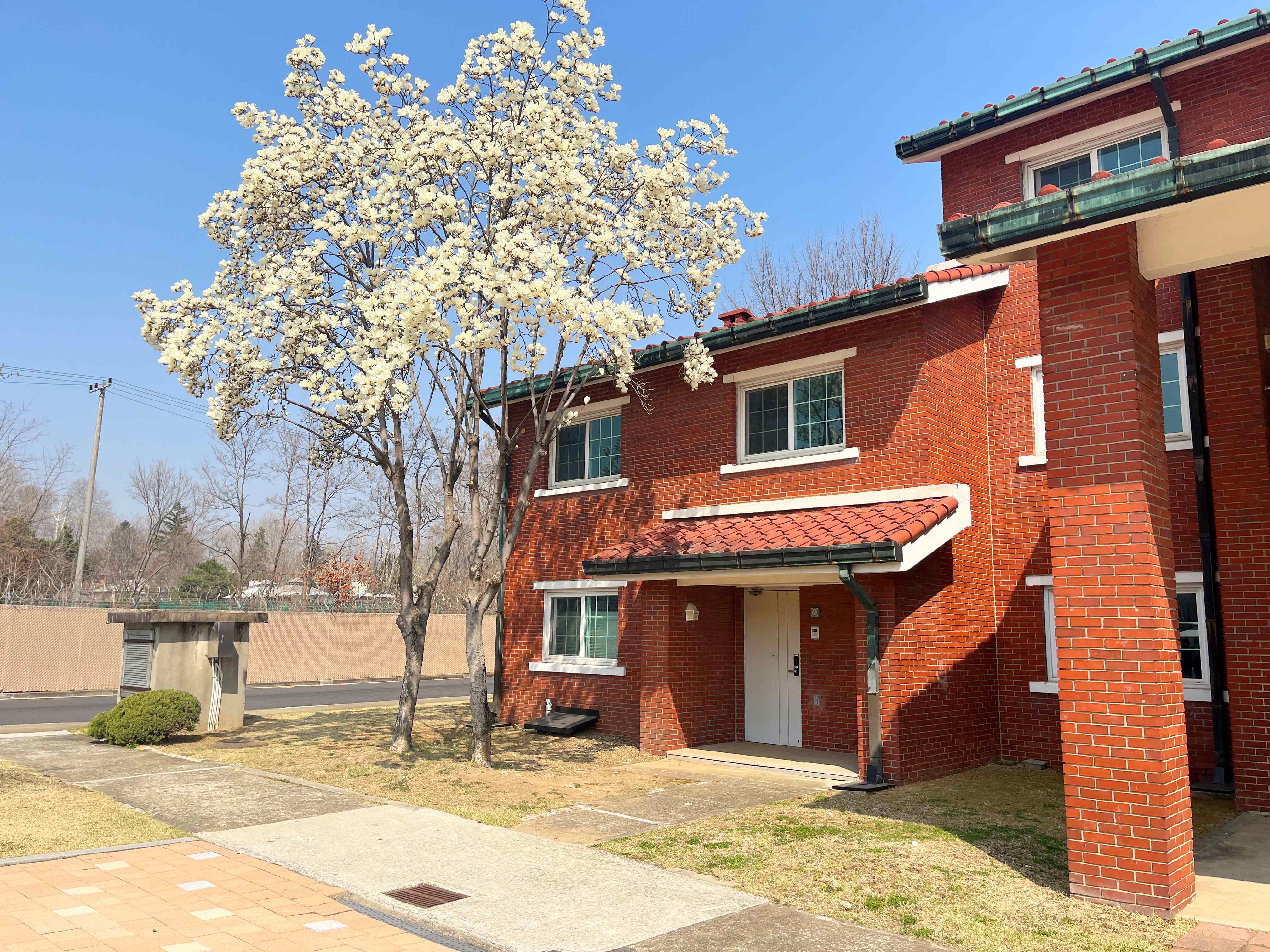 용산공원 미군기지