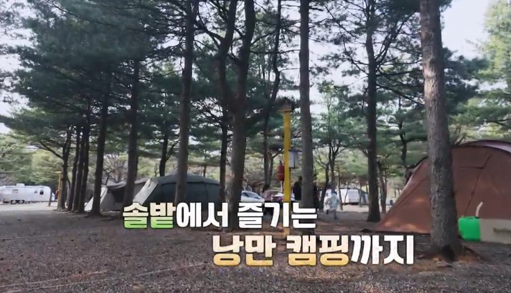 양양-솔밭