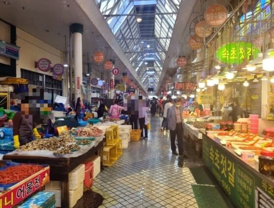 속초-관광수산시장