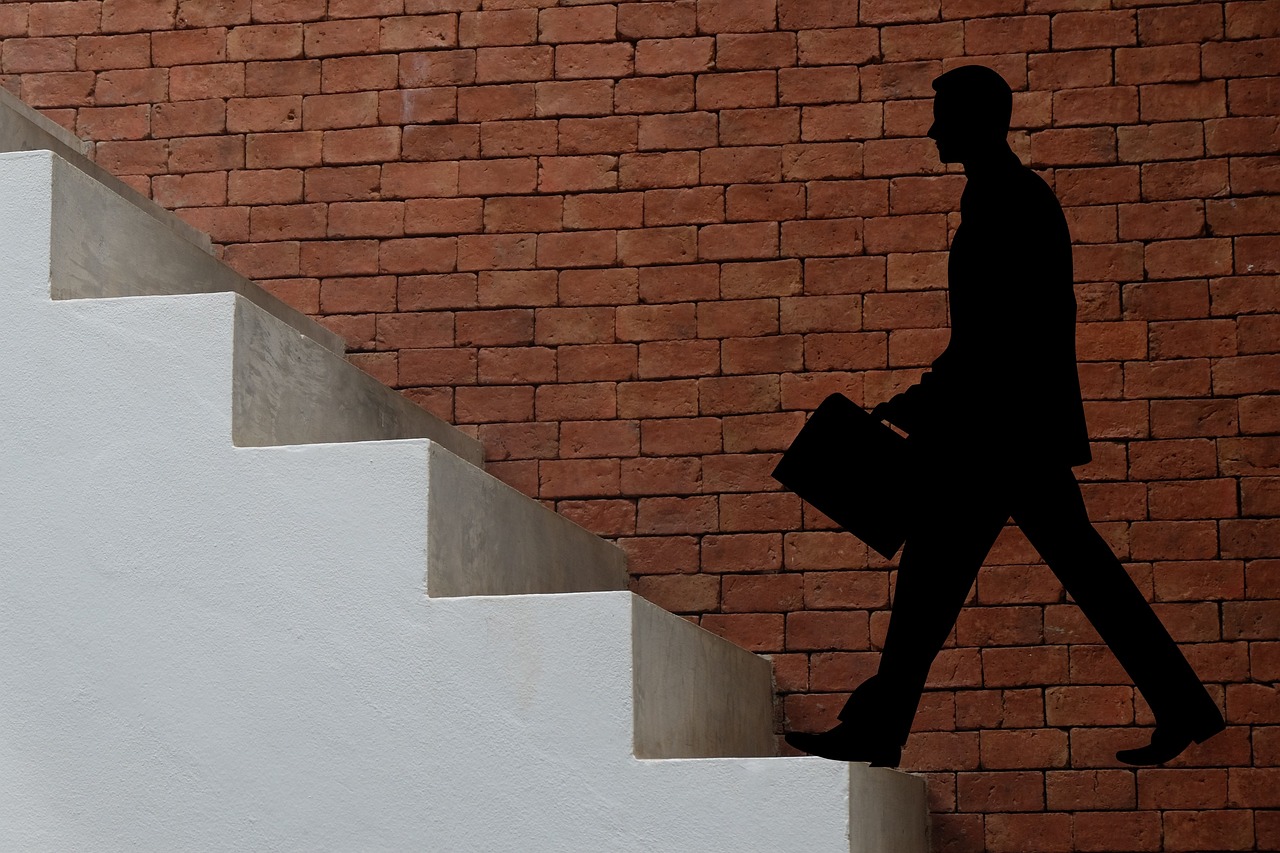 직업의 미래 비교 (전통직종,신직종,스타트업)