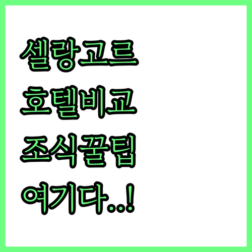 말레이시아 셀랑고르 호텔 추천 및 위..