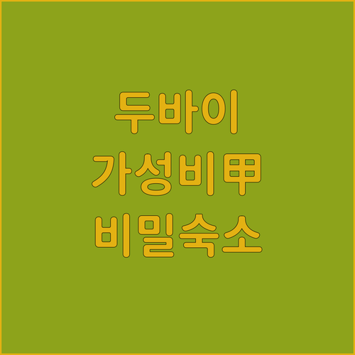 두바이 가성비 숙소 추천 위치 좋은 ..
