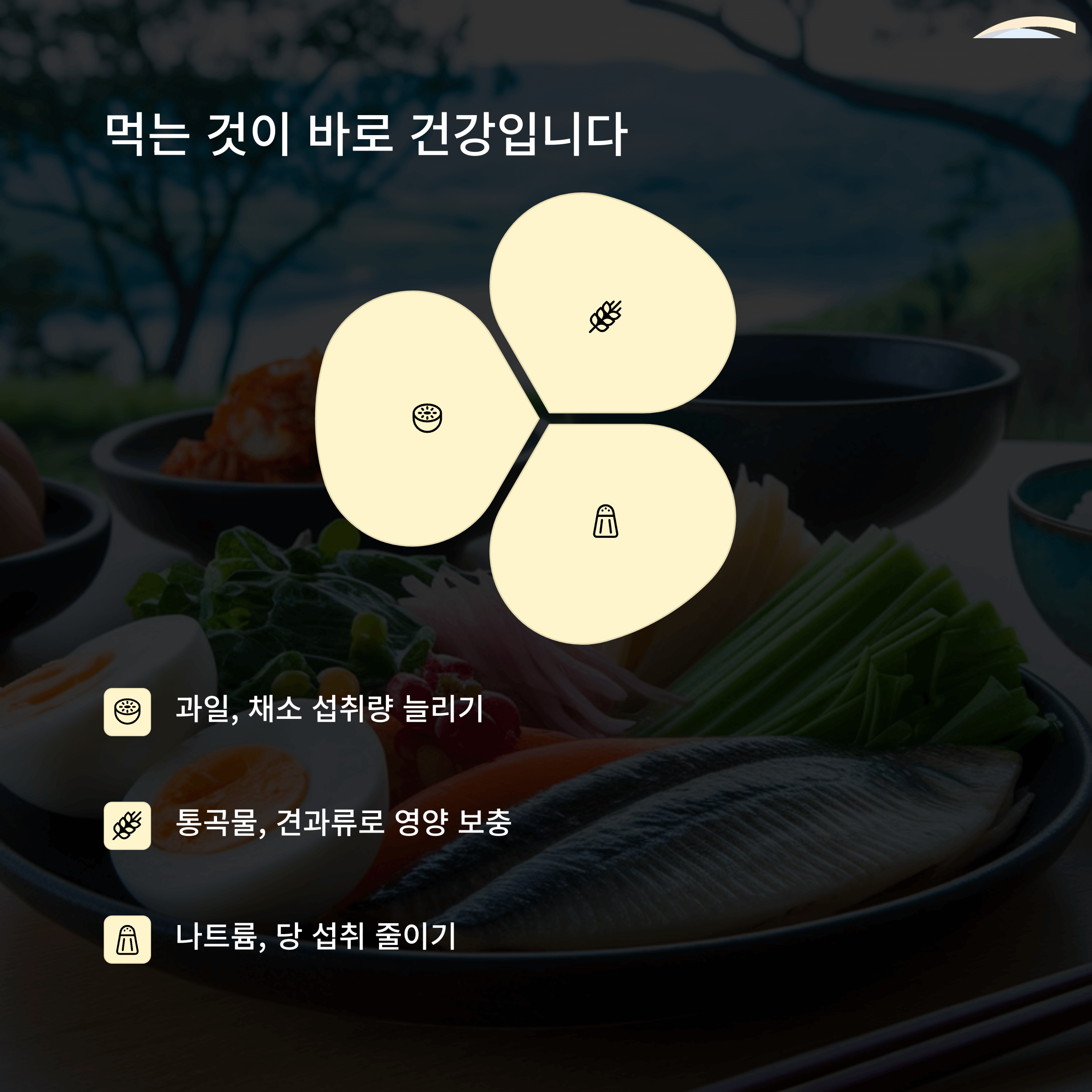 건강관리와 보험