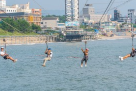 짚트랙 업체 정보